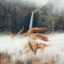NINE.TAILS
