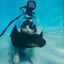 scuba scoobert