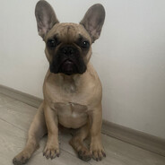 panBrambůrek - steam id 76561199630005678