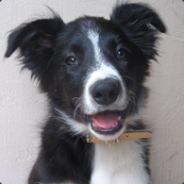 Roro7302 - Banned by VAC =(