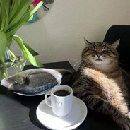 你打得过我是因为我菜