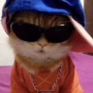 Mr.Cat97