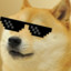 DoGY