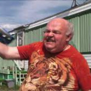 Mustard Tiger