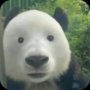 KungFu_Padla