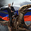 RUS_SMURF