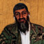 osama bin drippin