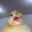 YumurcakTV