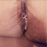 老陳          　༽