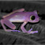 Frog7