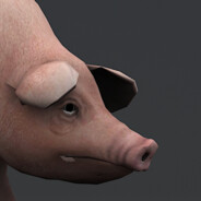 PIG 027
