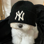 为情所困刘海柱