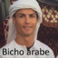 Bicho Arabe