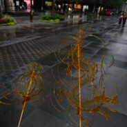 Buyaojiaowocheganaaa