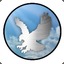 silver_hawk4