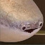 mike poop