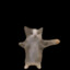 F L