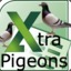 Microsoft Extra Pigeoncel