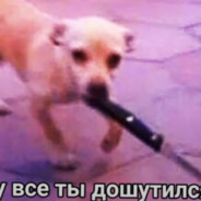 trubkasherloka - steam id 76561199150417350