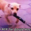 trubkasherloka