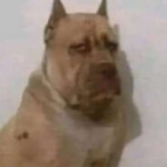 WKS - leche cheesesamuel