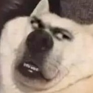 JiangBaoSSS