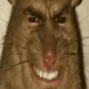 Ok
