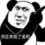 国家一级划水运动员