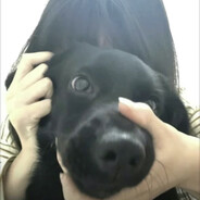 翻斗花园牛爷爷