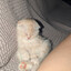 Gato
