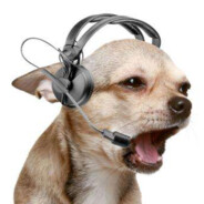 𝓛𝓐𝓞 𝓑𝓐 𝓐𝓘