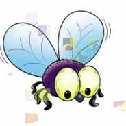 Baldisol