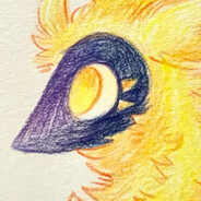 Sól 🌻