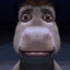 Donkey