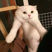 好安静，我以为我们永远有B话说