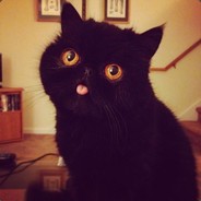 Smignon - steam id 76561197960482175