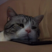 西河第一突破手