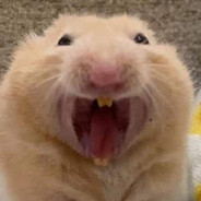 Хомяк рампага