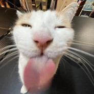 gurt