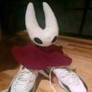 the real hornet silksong