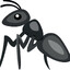 anti depress ants