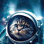 CATstronaut