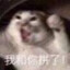 羊羊洋
