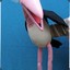 MARABU