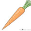 OG Carrot