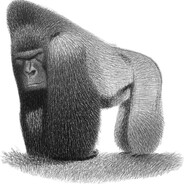 пицца 4сына