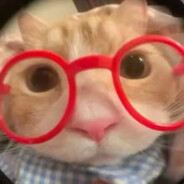 我妈妈说名字太长会有