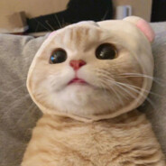 Good morning！来打！ZZZ！！