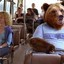 Bear On A Bus