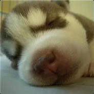 小”笨”蛋”=。=